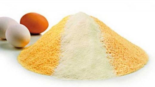 Huevo y derivados en polvo