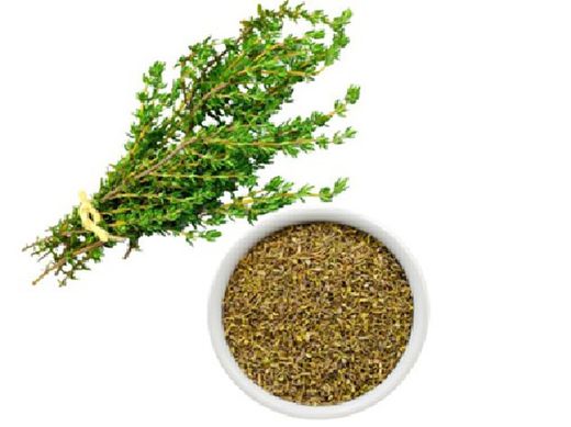 Tomillo Hoja