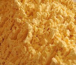 Yema de huevo en polvo