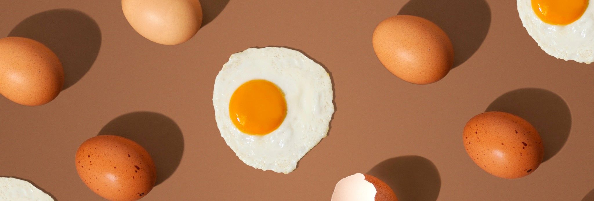 Proteína de huevo